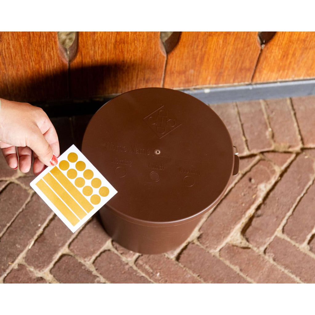 Kentucky Cubo con Tapa Marron