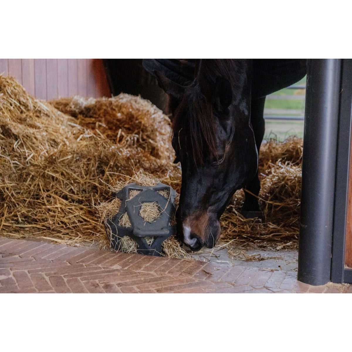 Kentucky Horsewear Pelota de Juego Play & Hay Gris