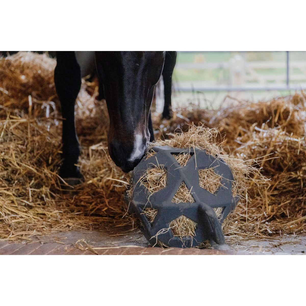 Kentucky Horsewear Pelota de Juego Play & Hay Gris