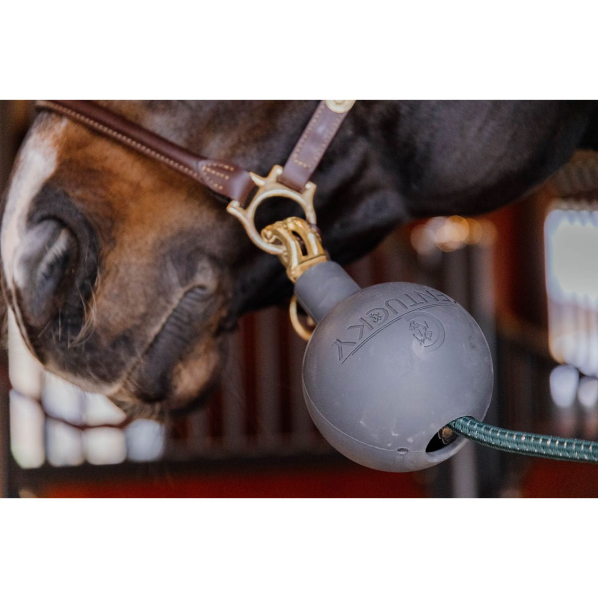 Kentucky Horsewear Pelota de Juego Rubber Gris