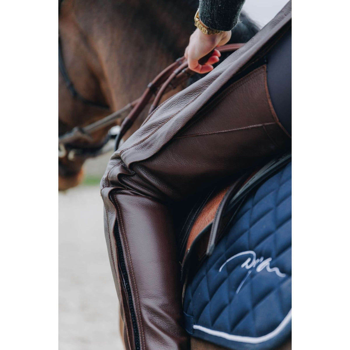 Dyon Chaps largos de Cuero Standard Marron
