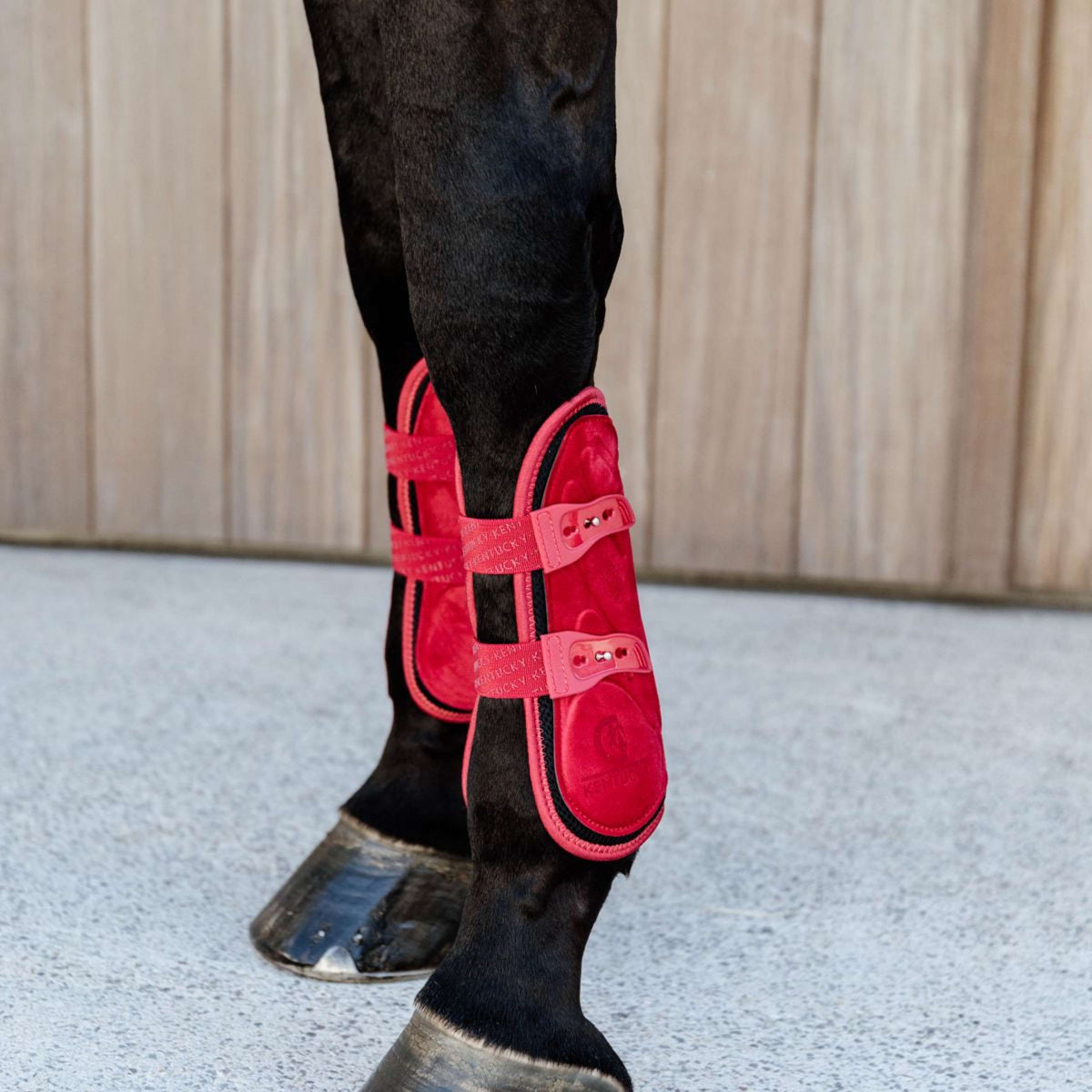 Kentucky Horsewear Botas para tendones Bamboo Elastic Rojo
