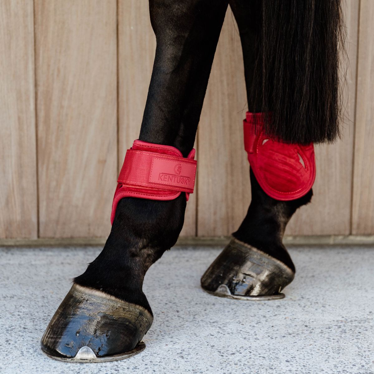 Kentucky Horsewear Botas de Menudillo Young Horse Rojo