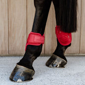 Kentucky Horsewear Botas de Menudillo Young Horse Rojo