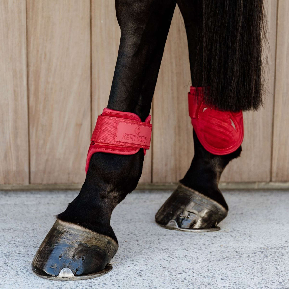 Kentucky Horsewear Botas de Menudillo Young Horse Rojo