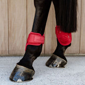 Kentucky Horsewear Botas de Menudillo Young Horse Rojo