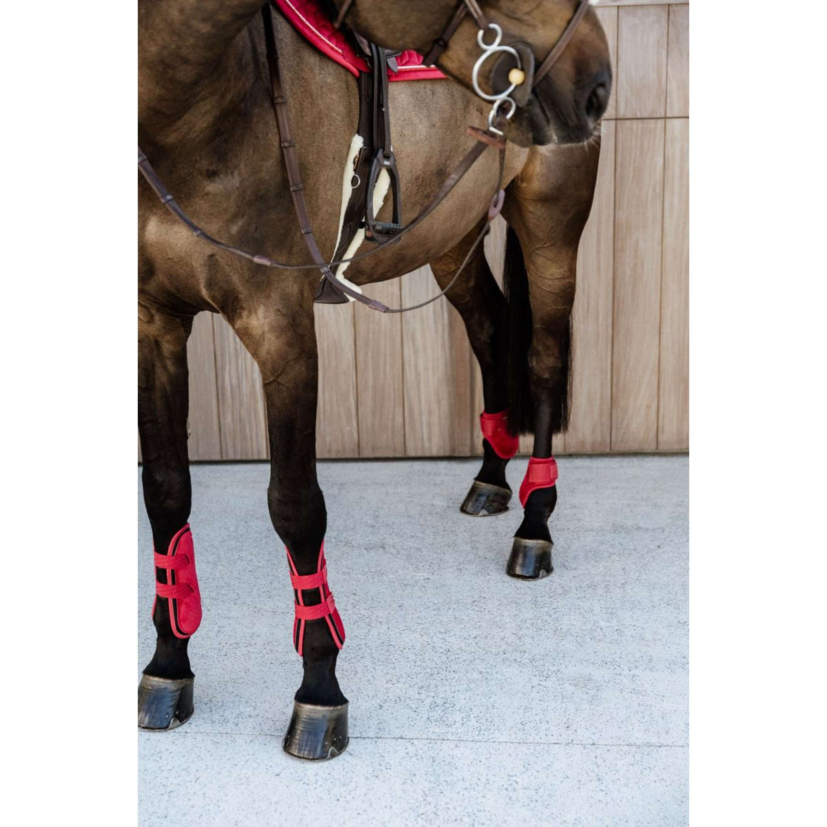 Kentucky Horsewear Botas para tendones Bamboo Elastic Rojo