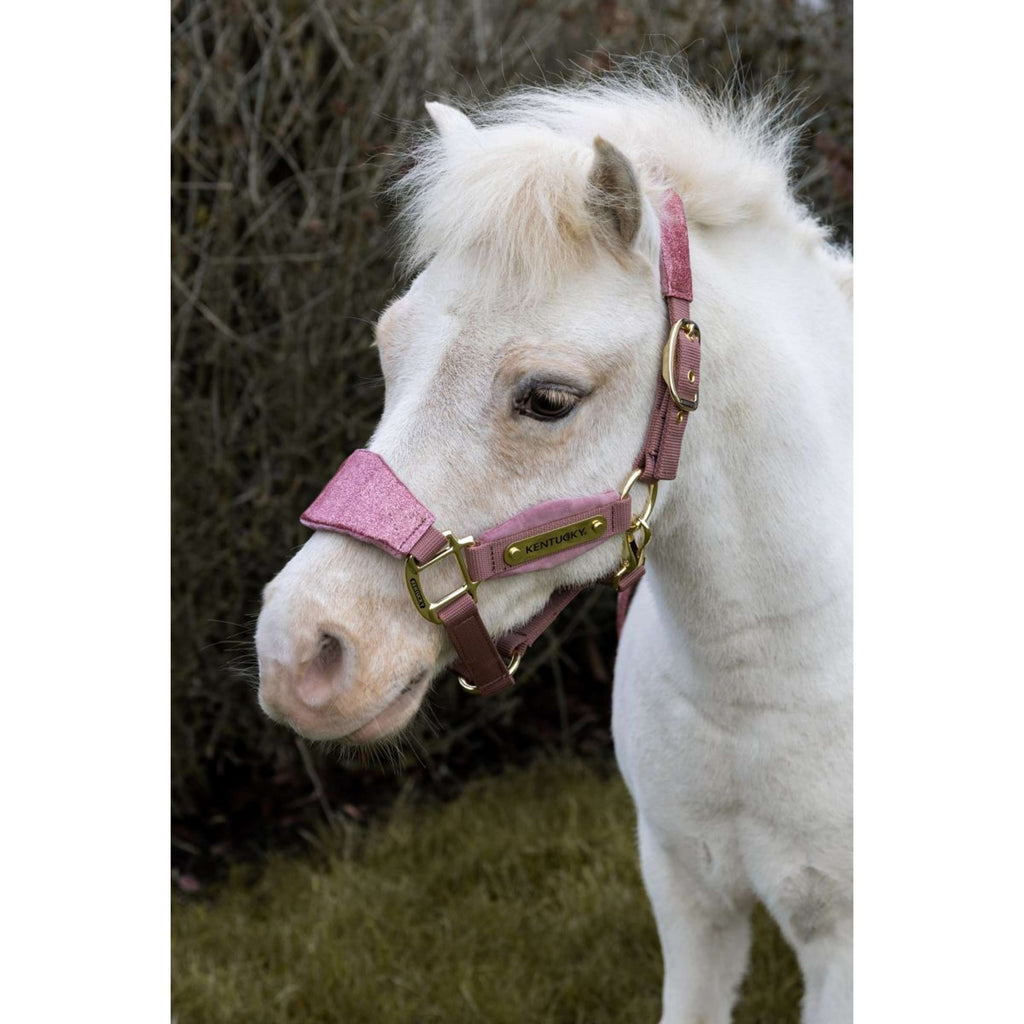 Kentucky Horsewear Cabestro Velvet Glitter Unicorn Rosa Viejo