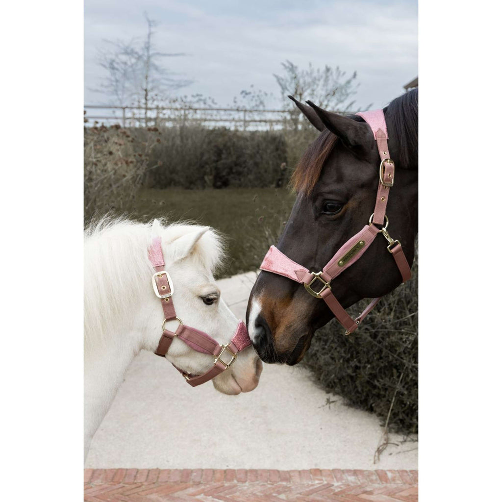 Kentucky Horsewear Cabestro Velvet Glitter Unicorn Rosa Viejo