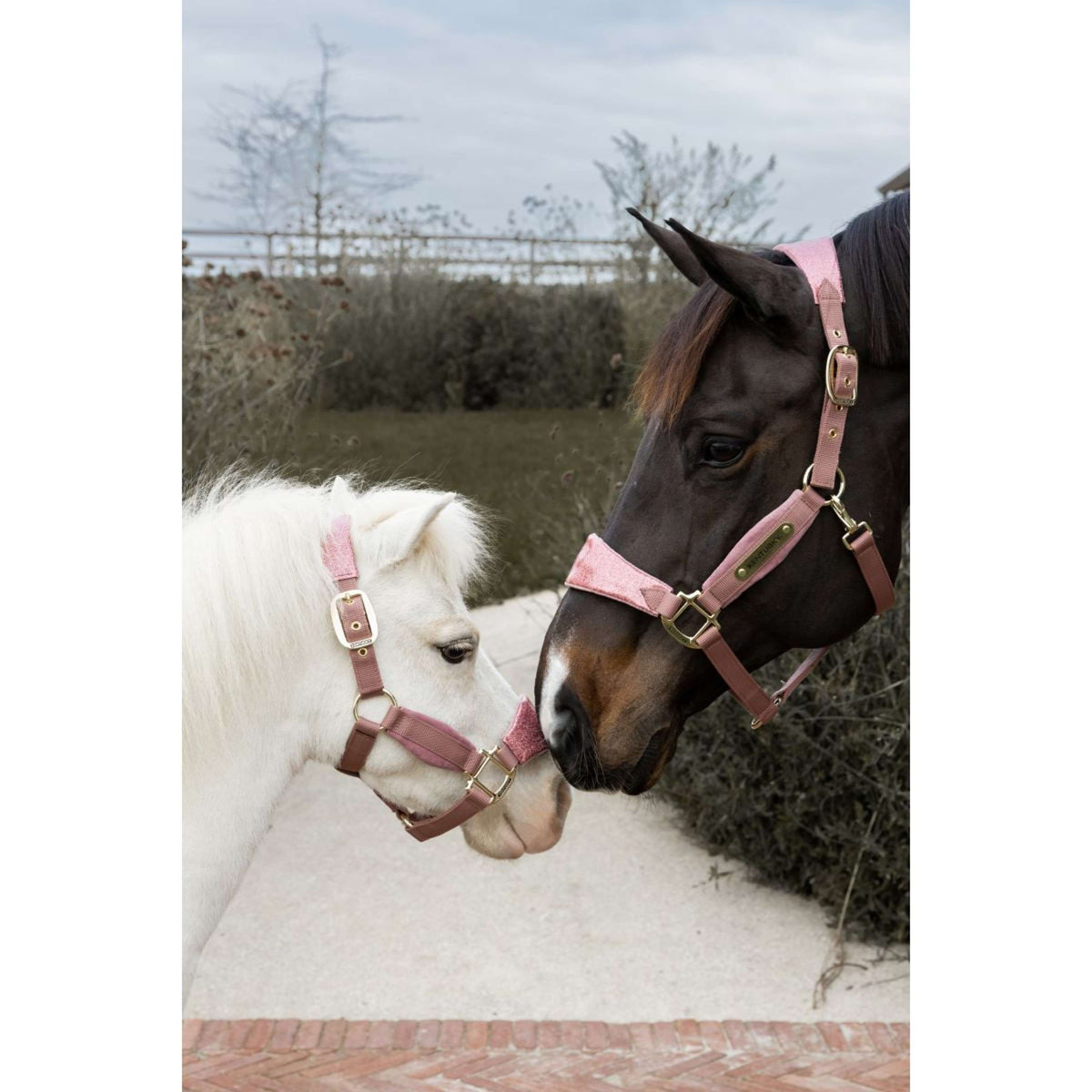 Kentucky Horsewear Cabezada Velvet Glitter Unicorn Rosa Viejo