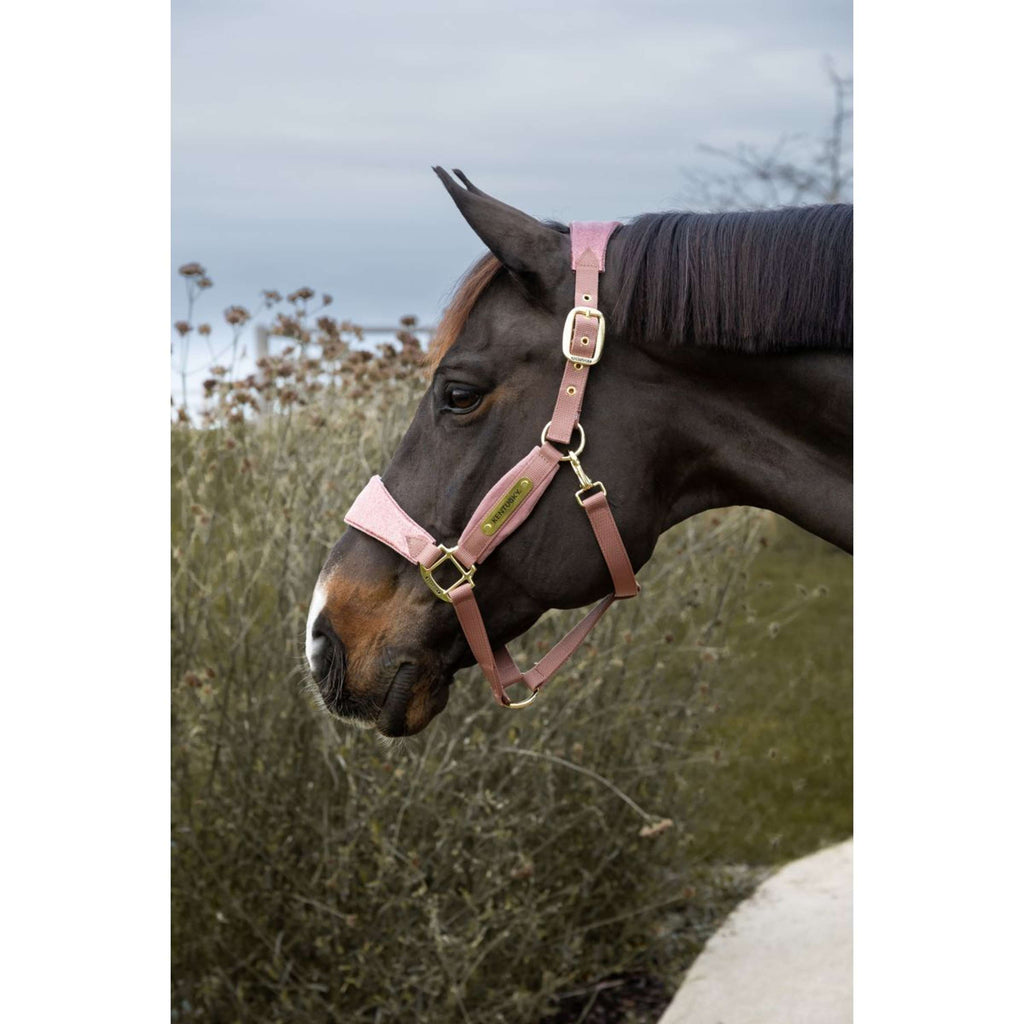 Kentucky Horsewear Cabestro Velvet Glitter Unicorn Rosa Viejo