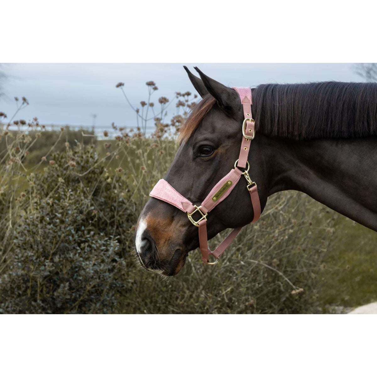 Kentucky Horsewear Cabezada Velvet Glitter Unicorn Rosa Viejo