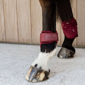 Kentucky Horsewear Botas de Menudillo Young Horse Bordeaux