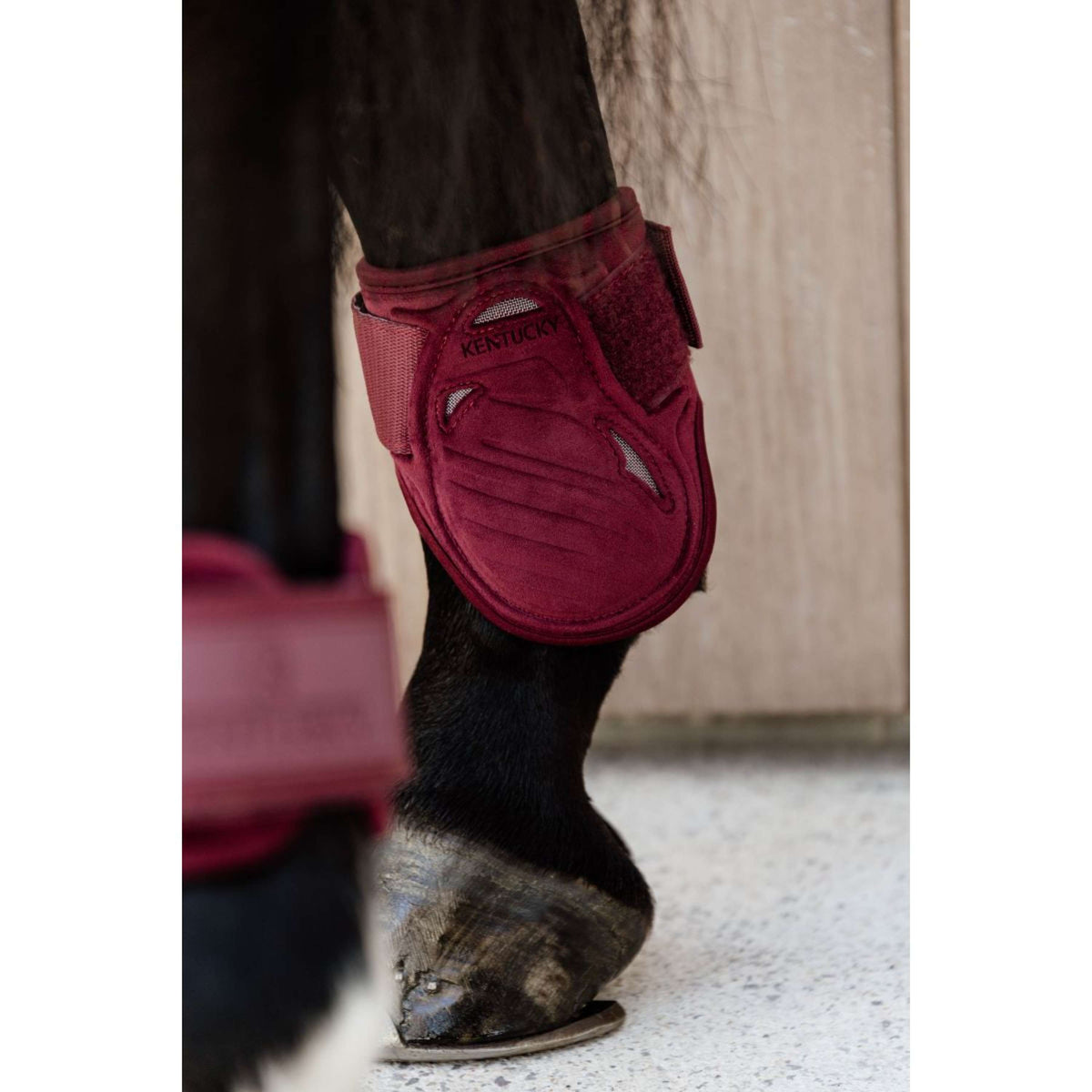Kentucky Horsewear Botas de Menudillo Young Horse Bordeaux