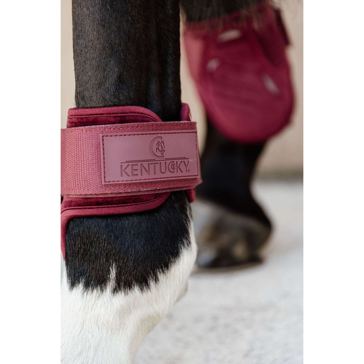 Kentucky Horsewear Botas de Menudillo Young Horse Bordeaux