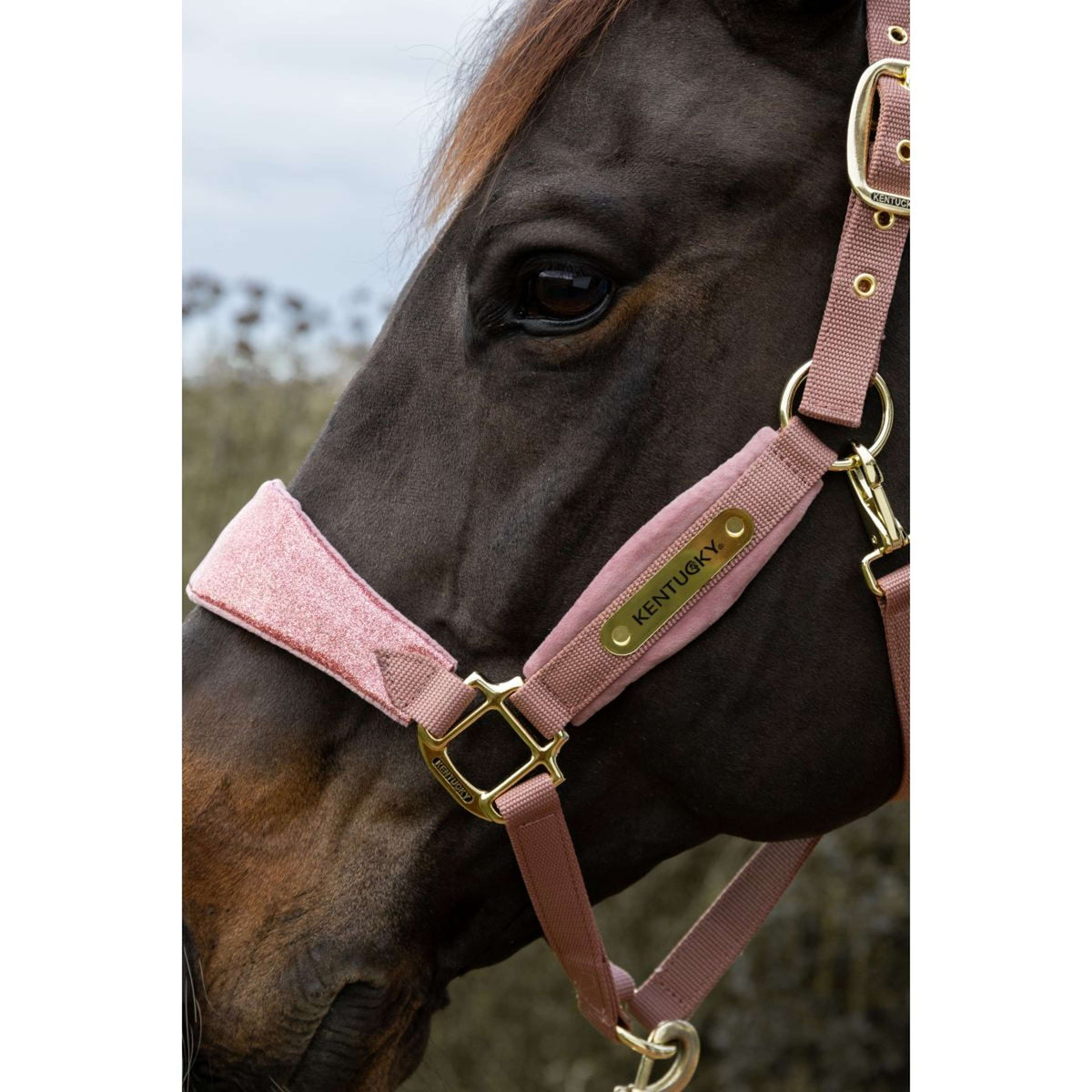Kentucky Horsewear Cabezada Velvet Glitter Unicorn Rosa Viejo