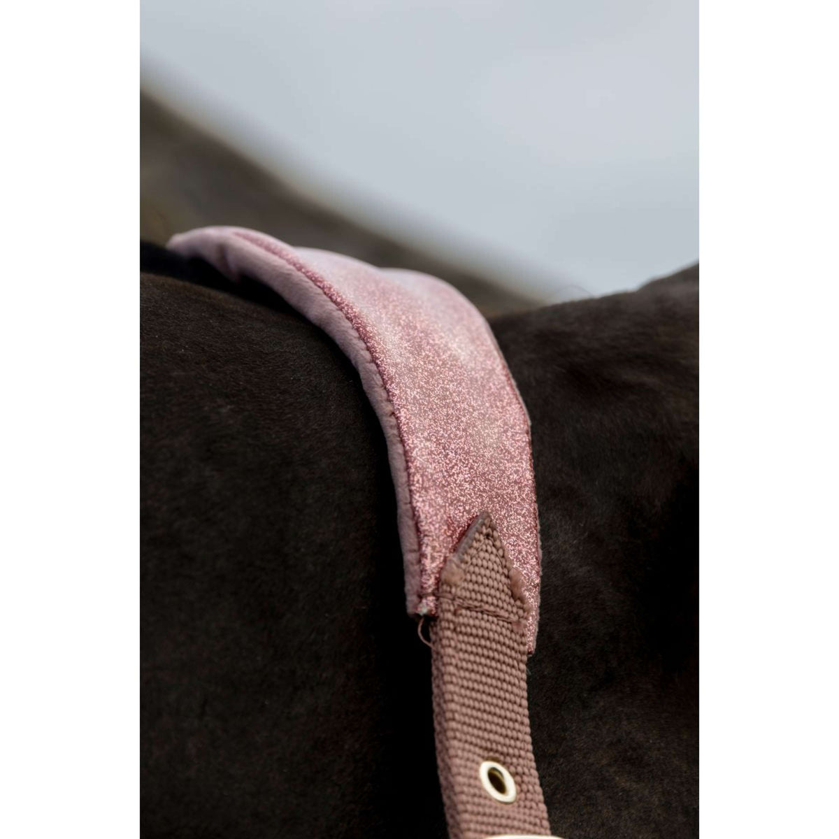 Kentucky Horsewear Cabezada Velvet Glitter Unicorn Rosa Viejo