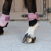 Kentucky Horsewear Botas de Menudillo Young Horse Rosa Viejo