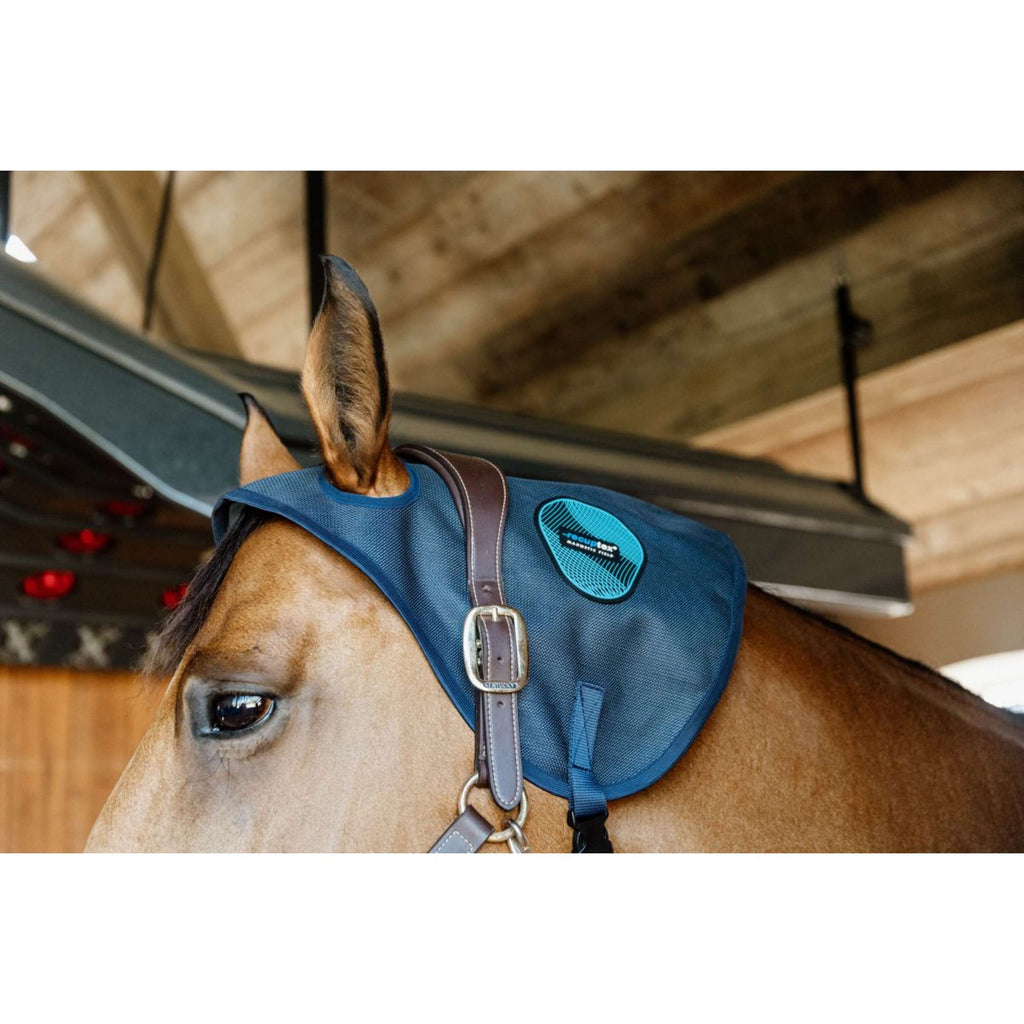 Kentucky Protector Magnético de Cuello Recuptex Azul