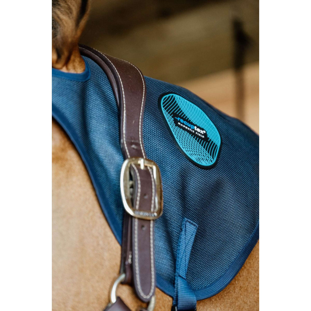 Kentucky Protector Magnético de Cuello Recuptex Azul