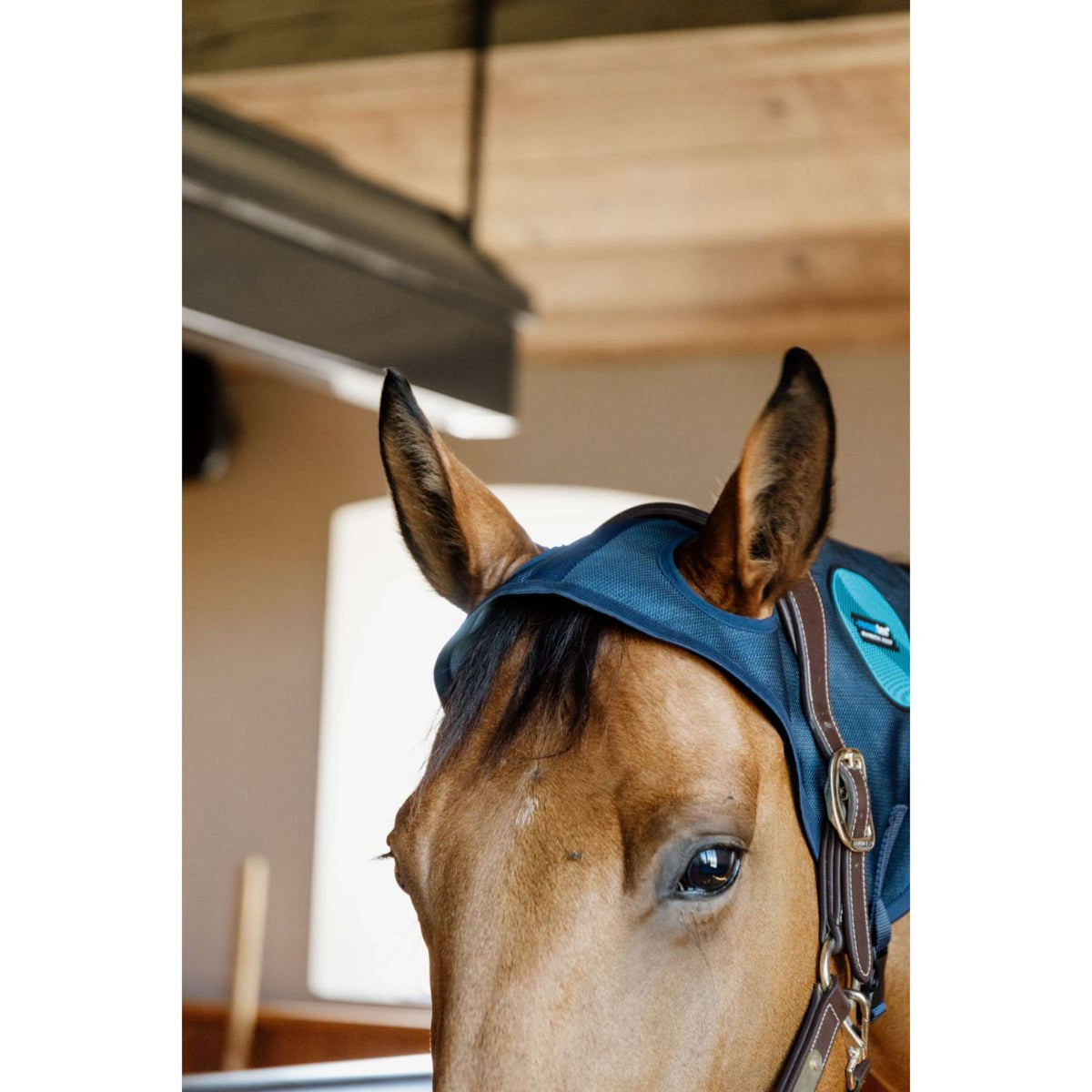 Kentucky Protector Magnético de Cuello Recuptex Azul