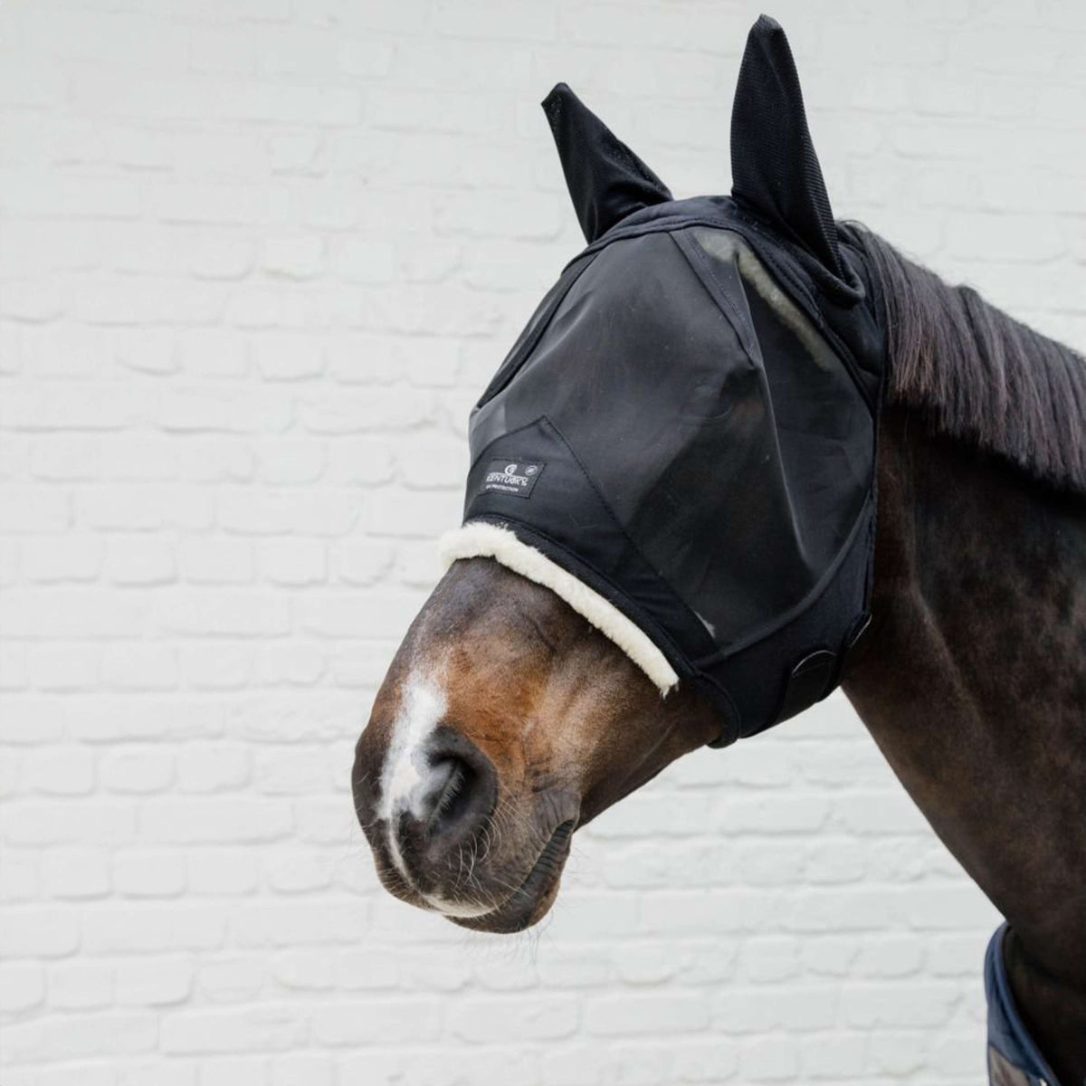 Kentucky Máscara para Moscas Skin Friendly con Orejas Negro