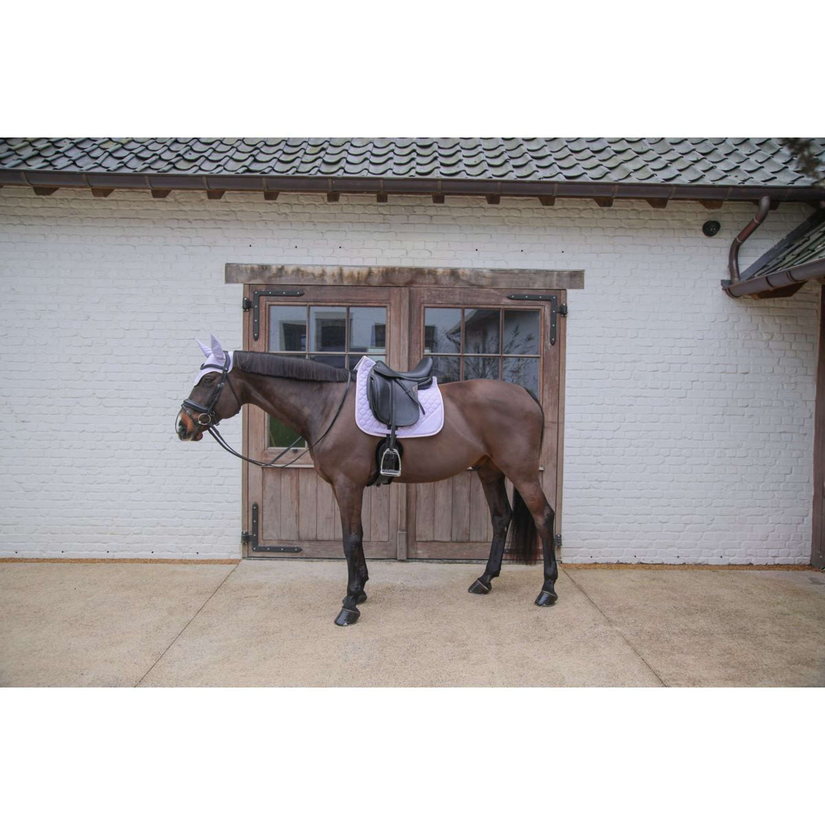 Kentucky Horsewear Mantilla Softshell Onion Quilt Doma clásica Violeta claro/Rosa claro