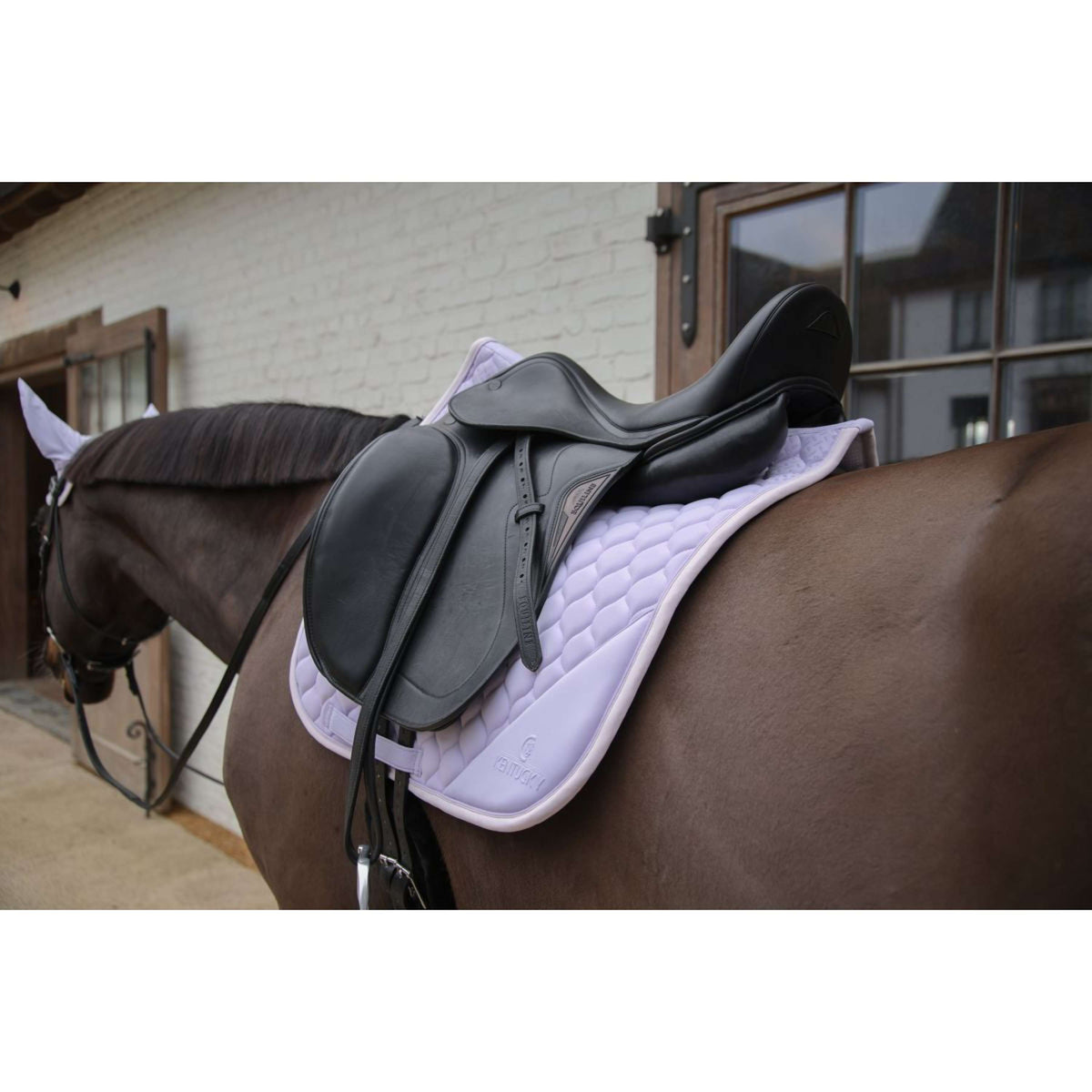 Kentucky Horsewear Mantilla Softshell Onion Quilt Doma clásica Violeta claro/Rosa claro
