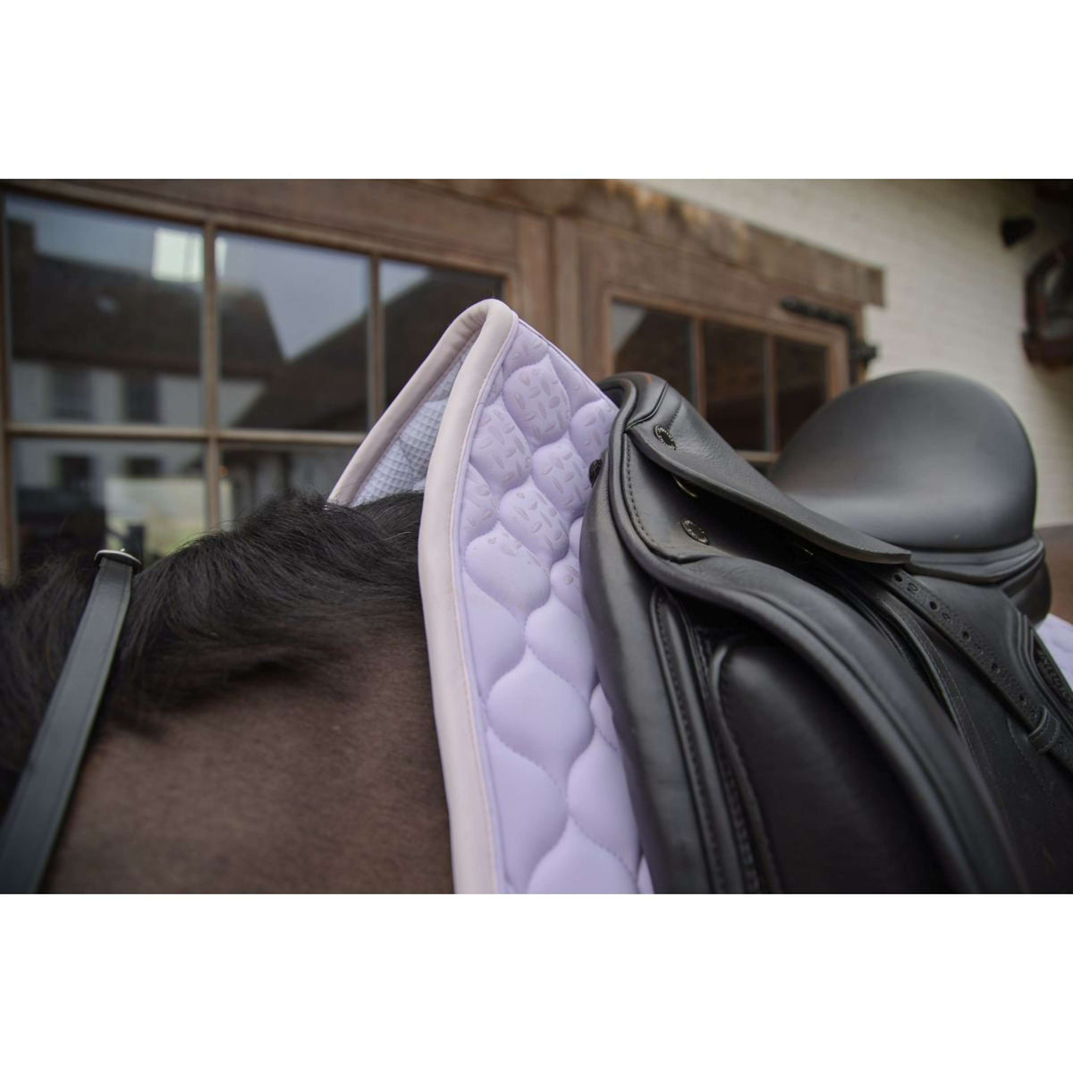Kentucky Horsewear Mantilla Softshell Onion Quilt Doma clásica Violeta claro/Rosa claro