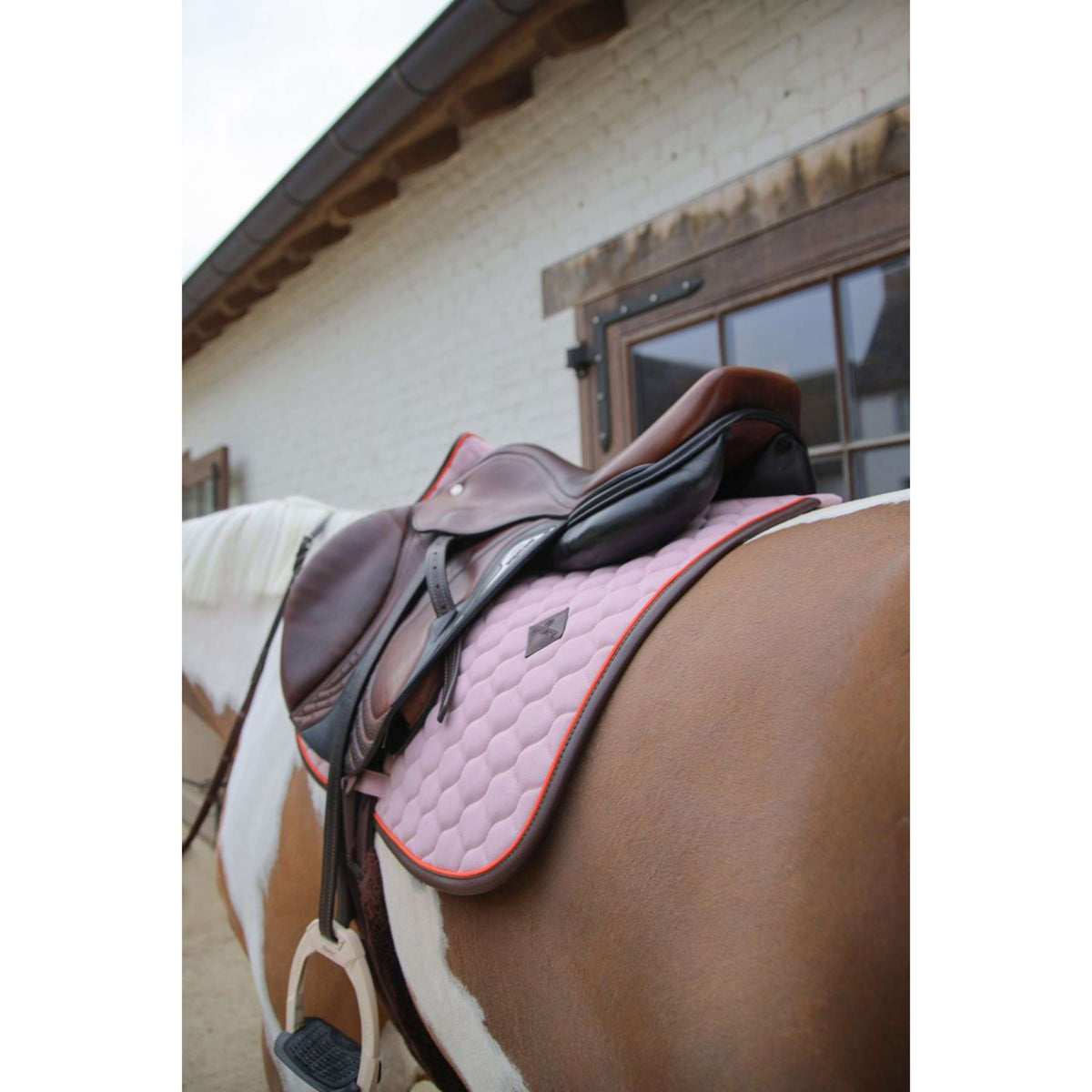 Kentucky Horsewear Mantilla Onion Quilt Leather Neon saltando Lavanda