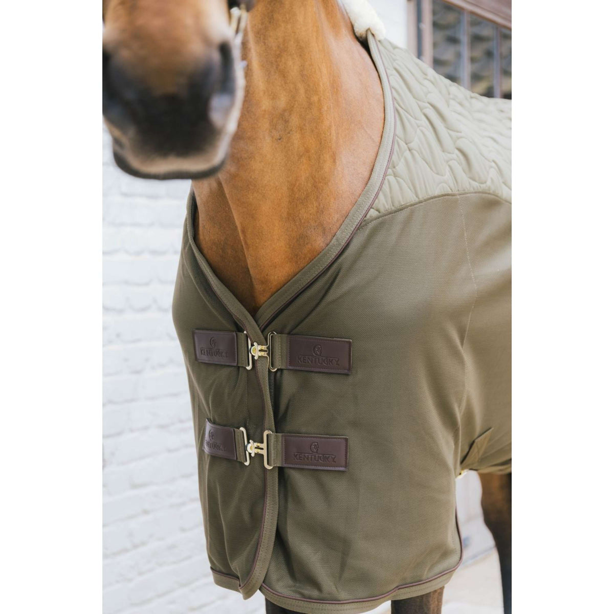Kentucky Horsewear Manta polar más fresca Transport Verde Pino