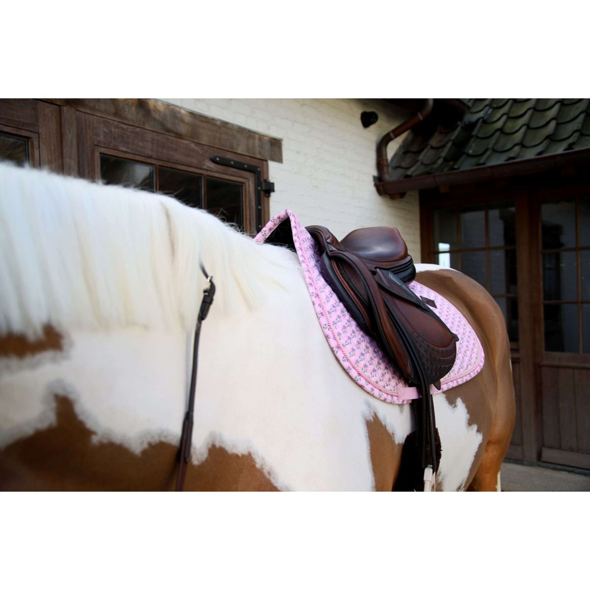 Kentucky Mantilla Velvet Sammy saltando Old Rose