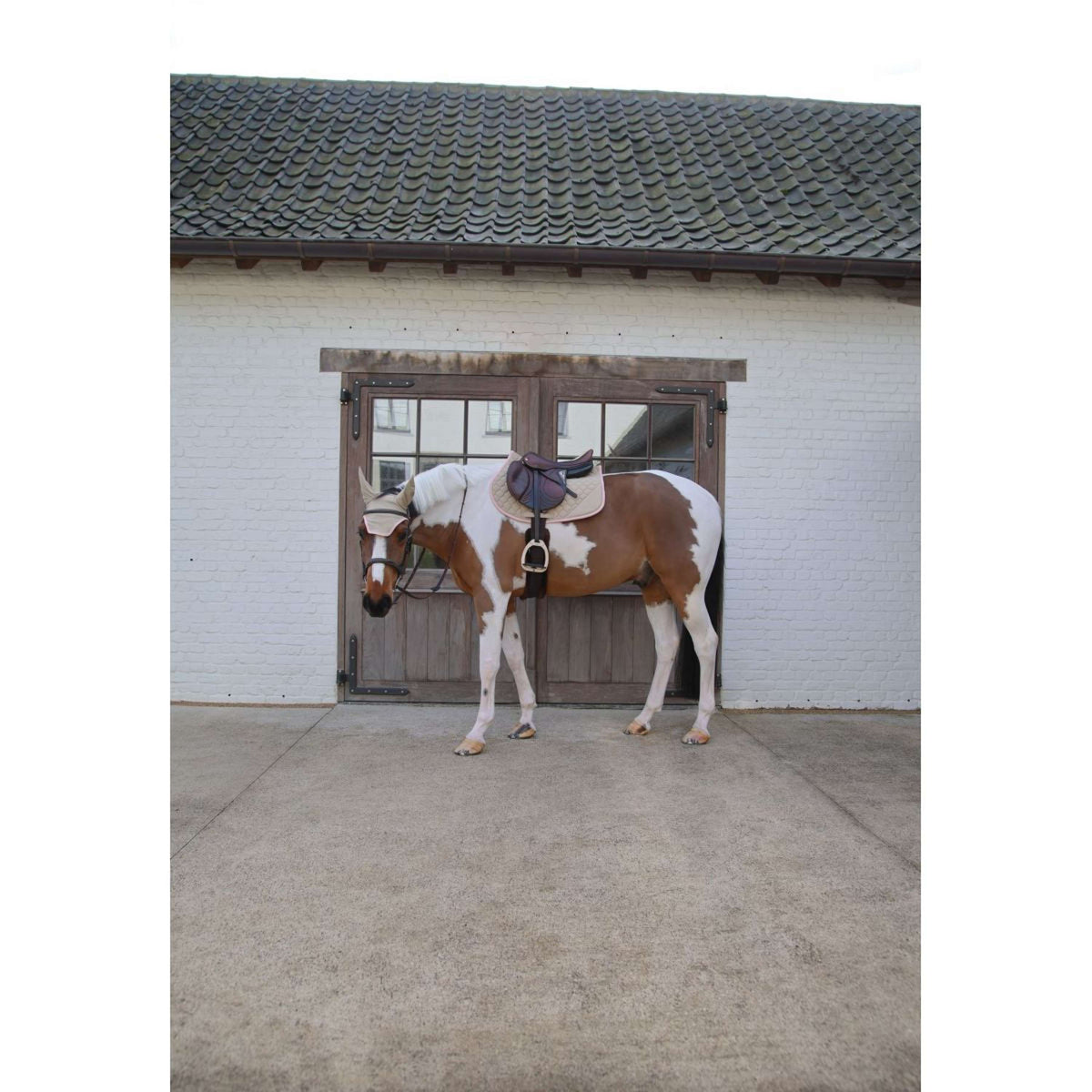 Kentucky Horsewear Mantilla Softshell Onion Quilt saltando Beige/Rosa viejo