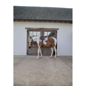 Kentucky Horsewear Mantilla Softshell Onion Quilt saltando Beige/Rosa viejo