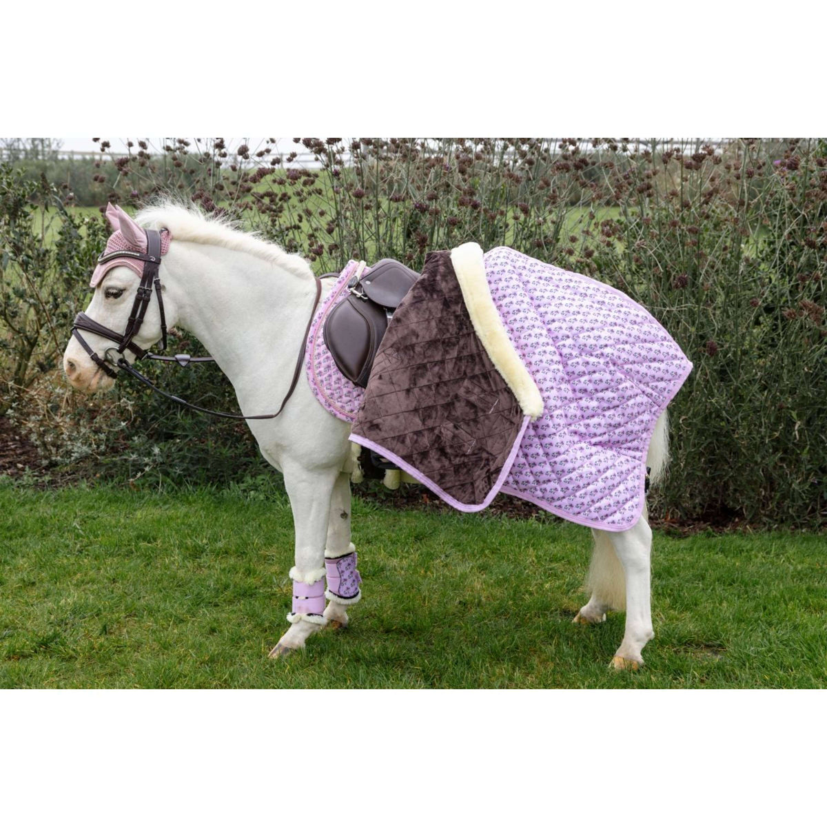 Kentucky Mantilla Velvet Sammy saltando Old Rose