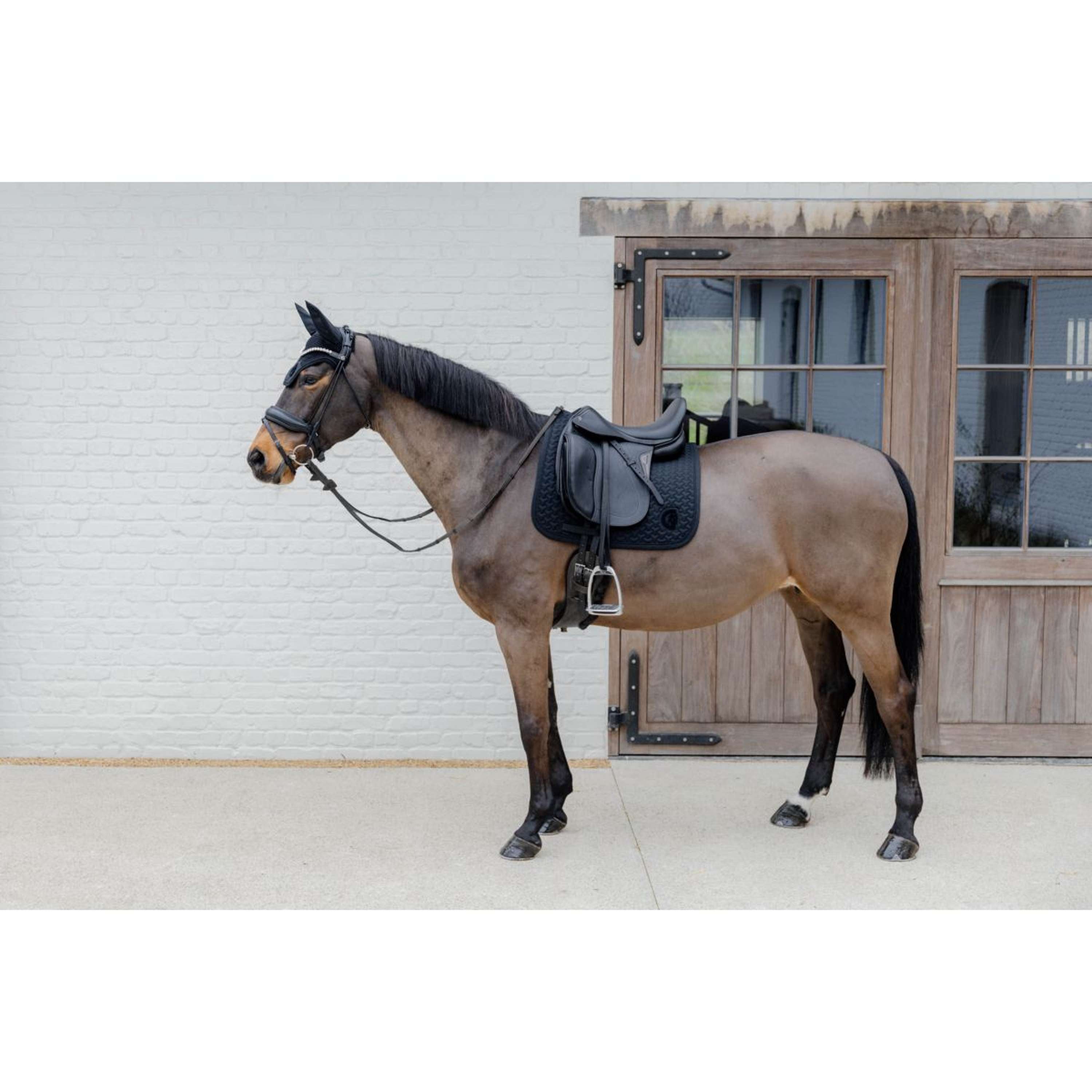 Kentucky Horsewear Bonete para Orejas Wellington 3D Logo Negro