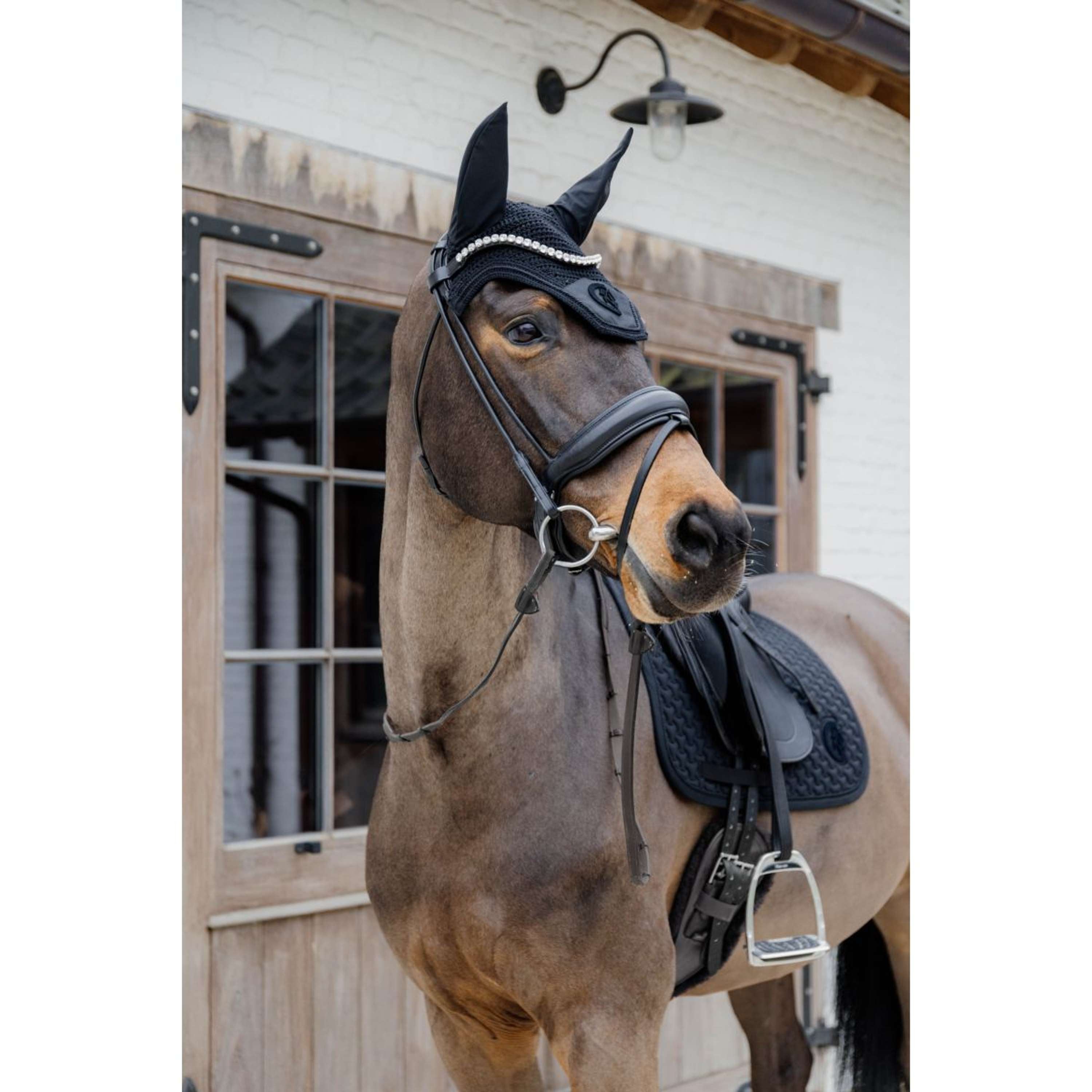 Kentucky Horsewear Bonete para Orejas Wellington 3D Logo Negro