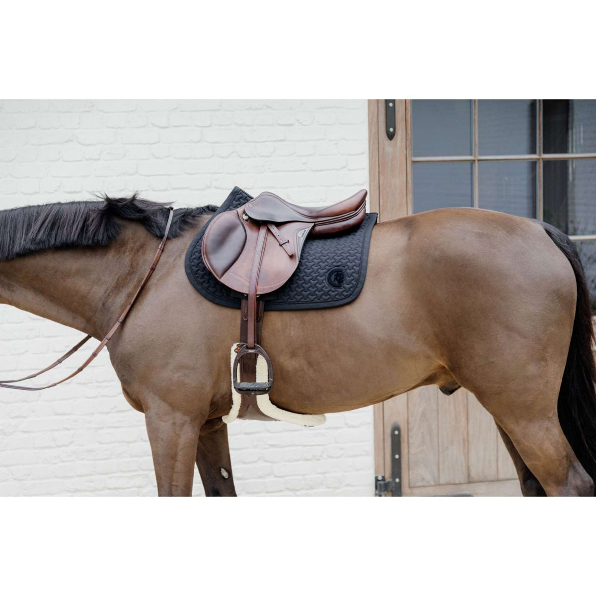Kentucky Horsewear Mantilla Plaited Logo Springen Negro