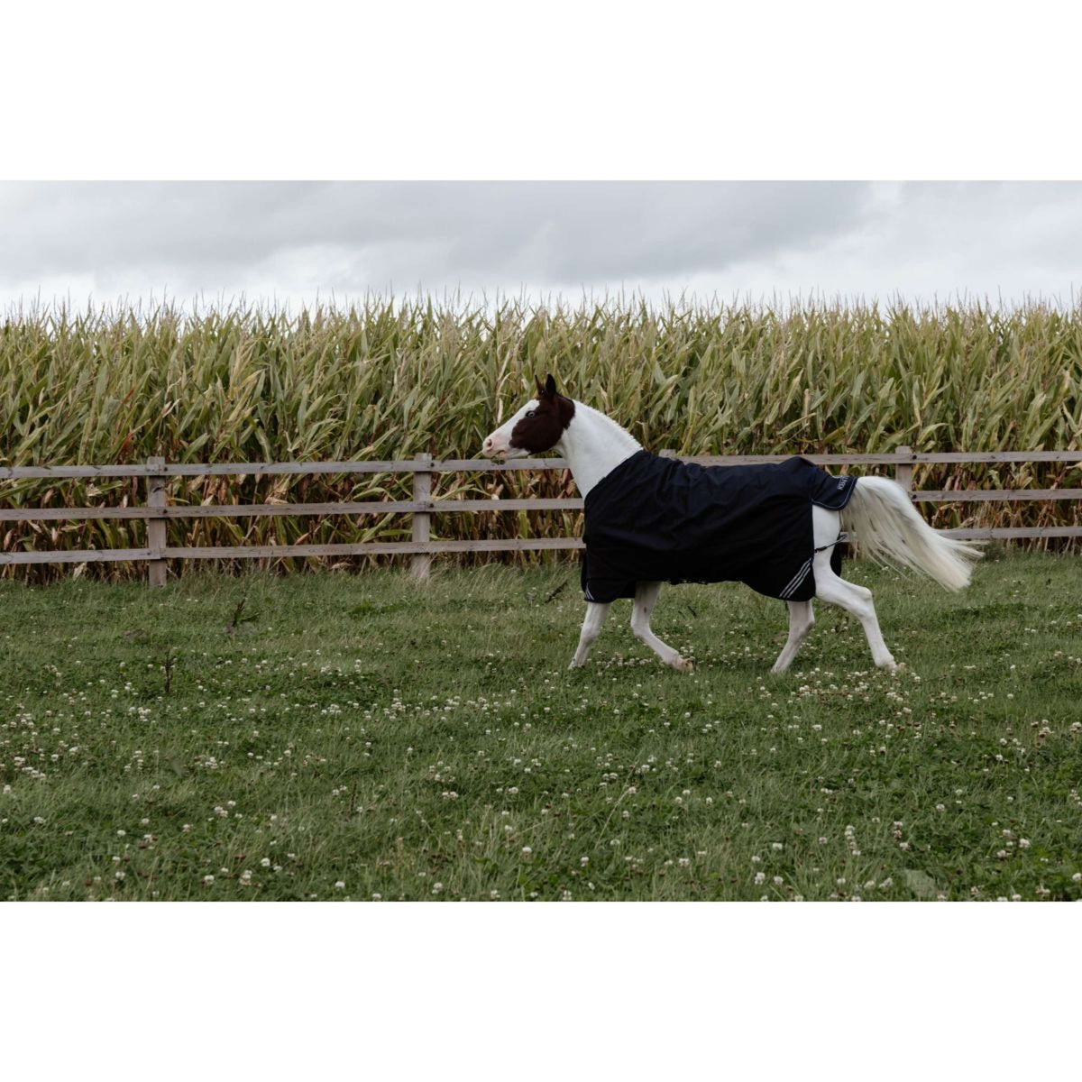 Kentucky Turnout Rug All Weather Comfort Waterproof 100g Negro
