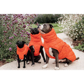 Kentucky Dogwear Manta para Perros Winter Pina 160g Naranja
