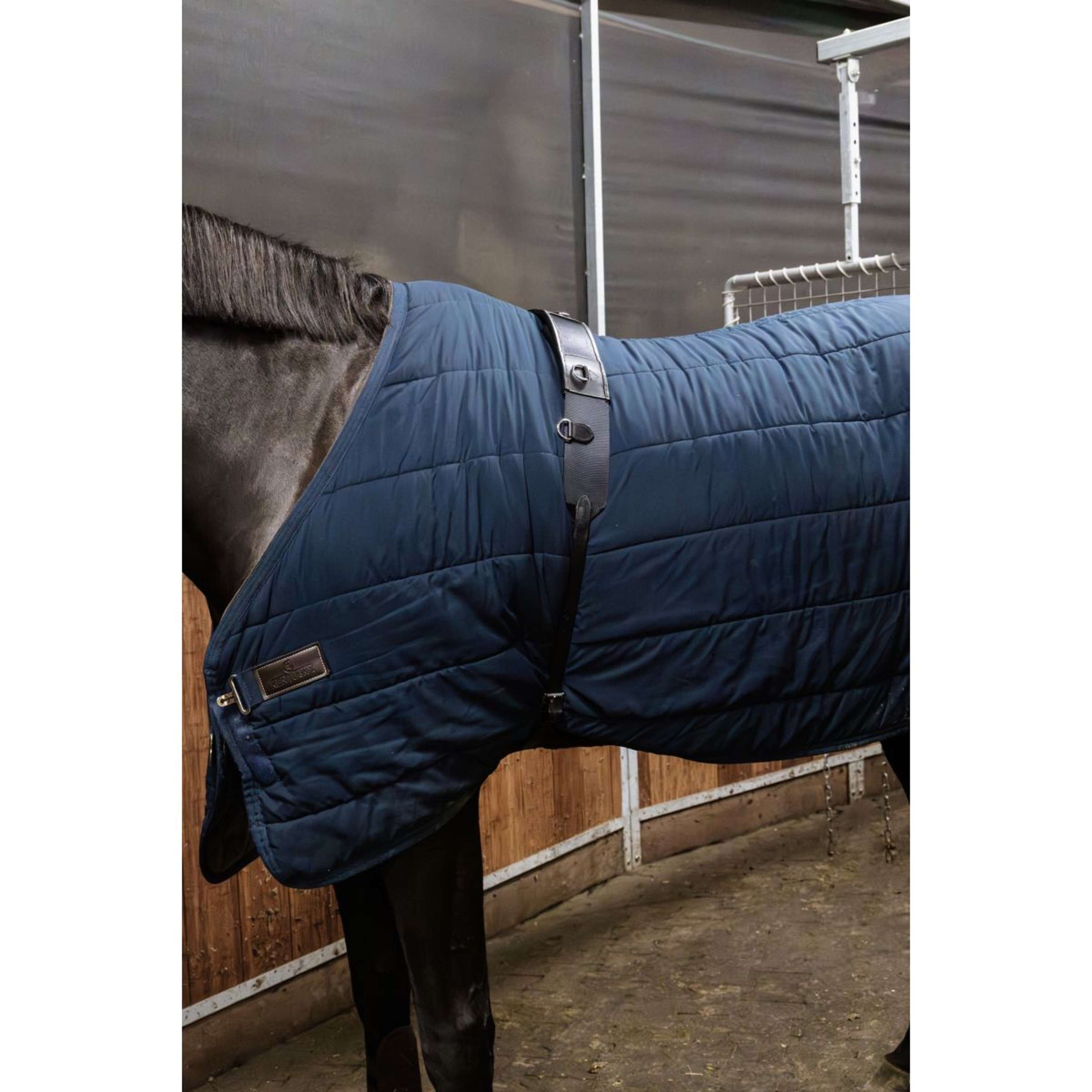 Kentucky Horsewear Cincha de Trabajo Nylon Negro