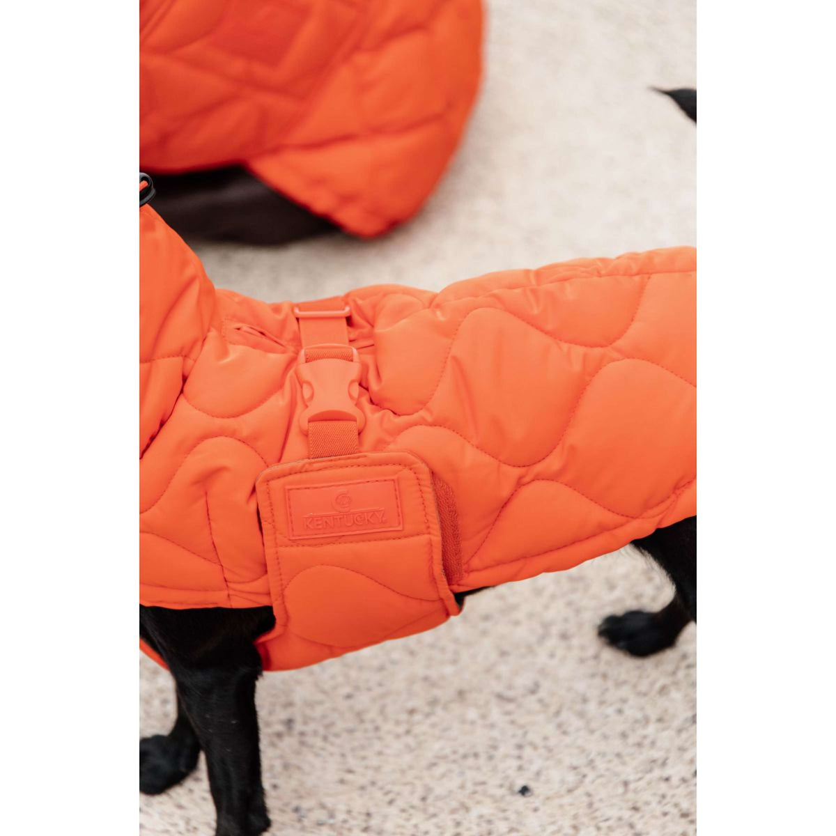 Kentucky Dogwear Manta para Perros Winter Pina 160g Naranja