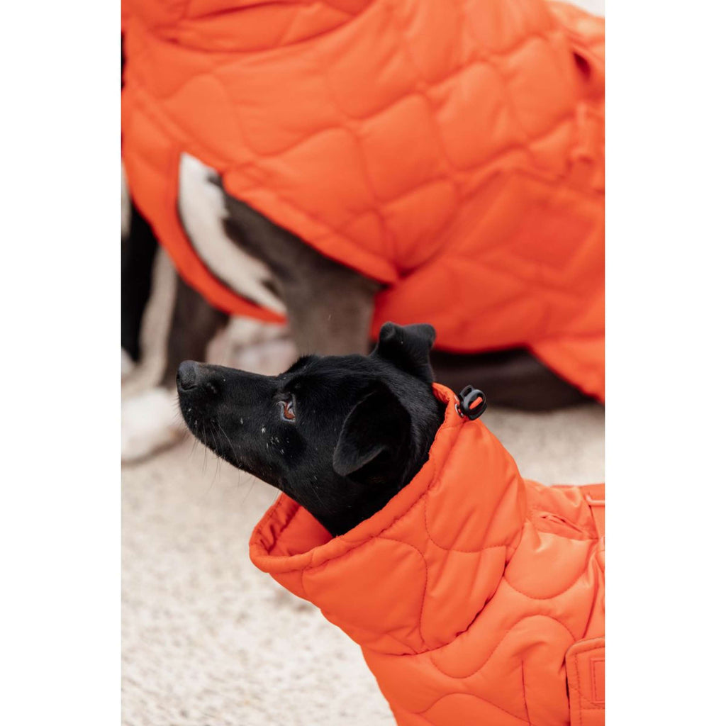 Kentucky Dogwear Manta para Perros Winter Pina 160g Naranja