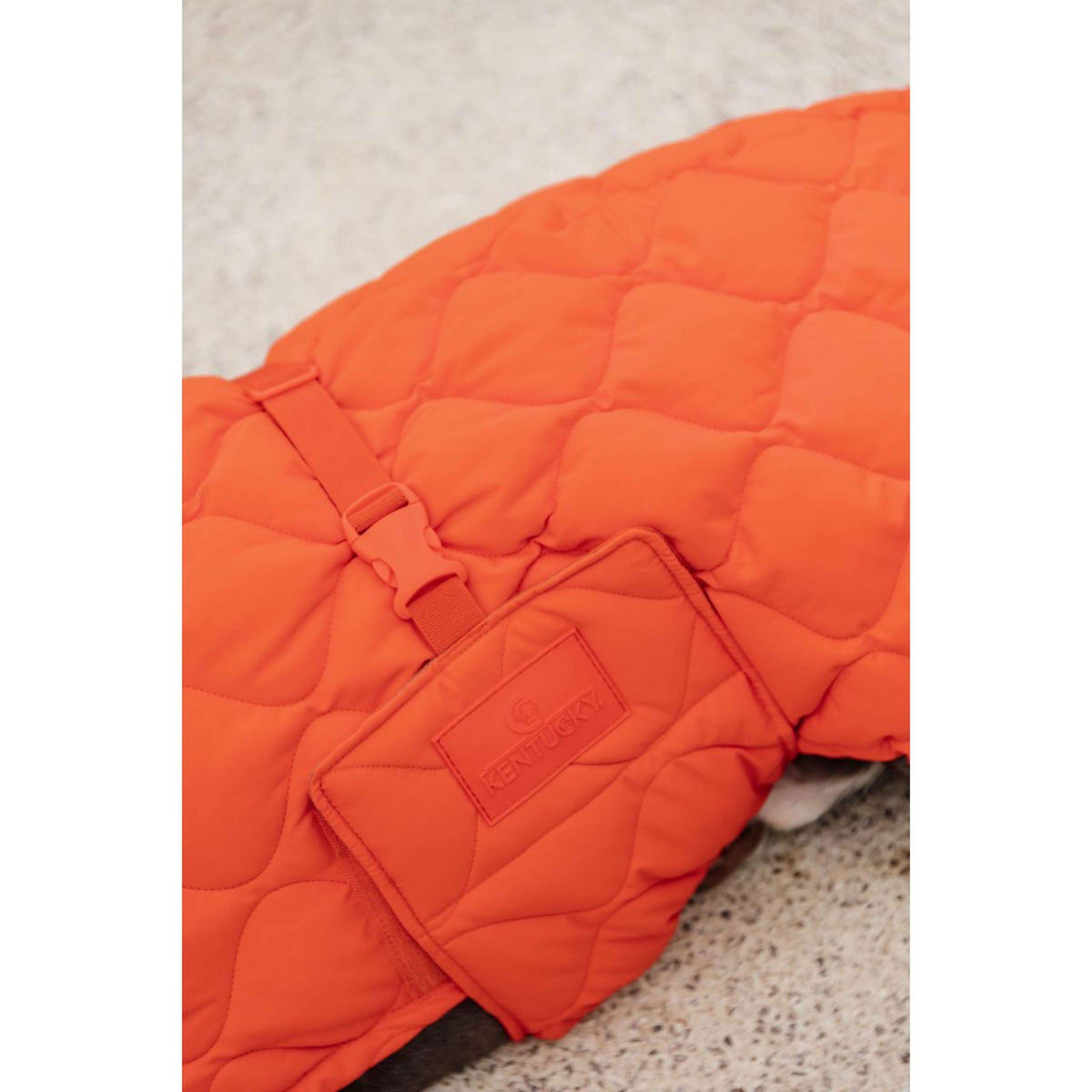 Kentucky Dogwear Manta para Perros Winter Pina 160g Naranja