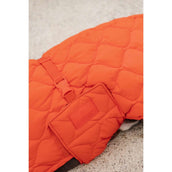 Kentucky Dogwear Manta para Perros Winter Pina 160g Naranja