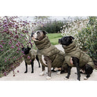 Kentucky Dogwear Manta para Perros Winter Pina 160g Pine Green