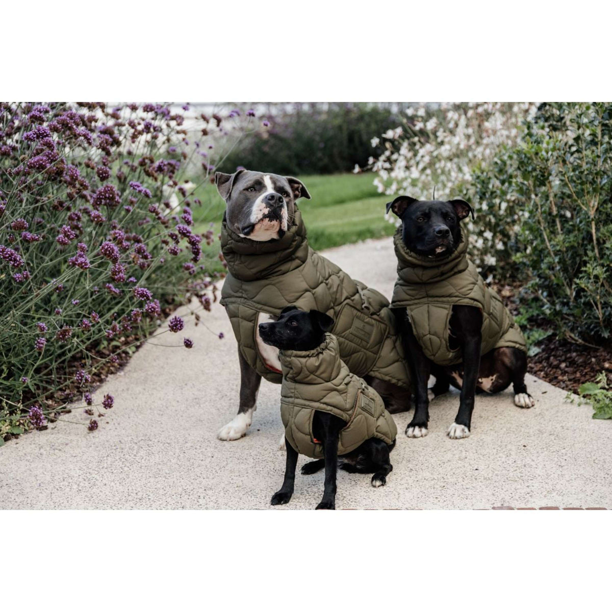 Kentucky Dogwear Manta para Perros Winter Pina 160g Pine Green