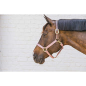 Kentucky Horsewear Cabezada Nylon Breakaway Rosa Viejo