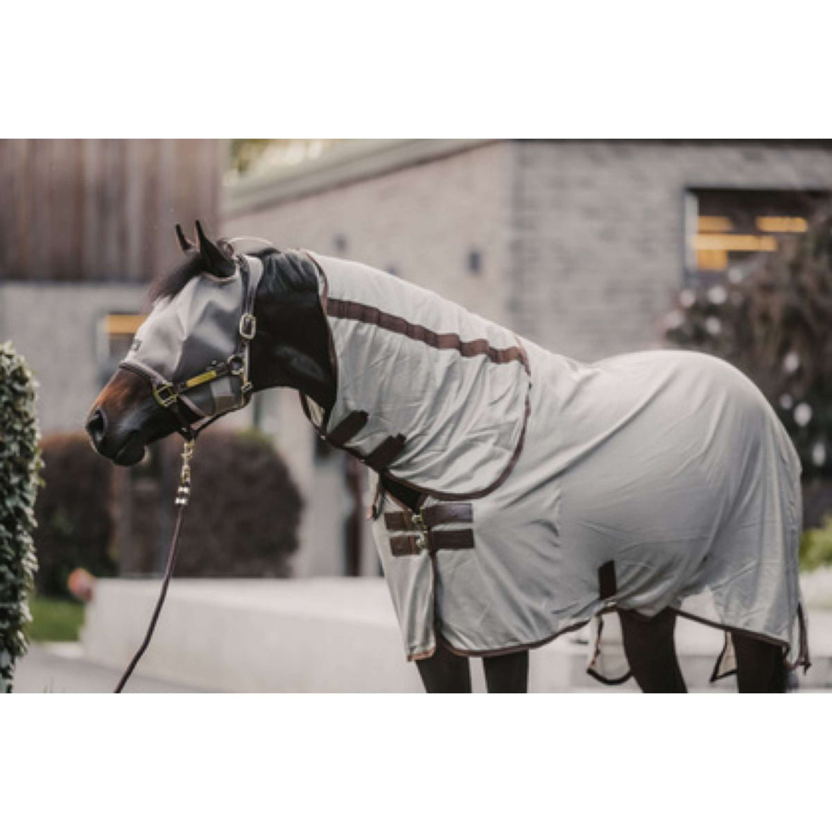 Kentucky Horsewear Máscara para Moscas Classic Beige