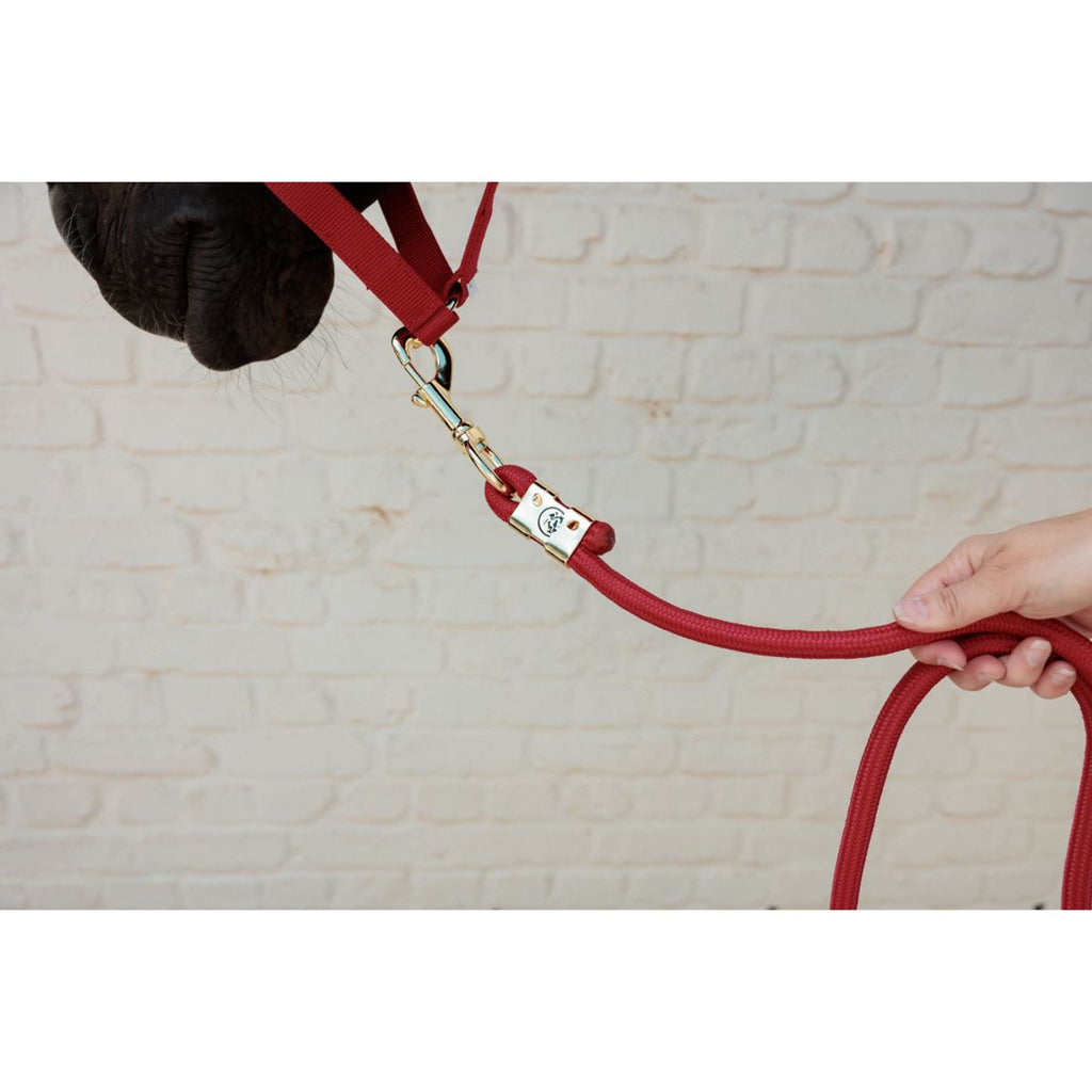Kentucky Cuerda de Cabestro Basic Rojo